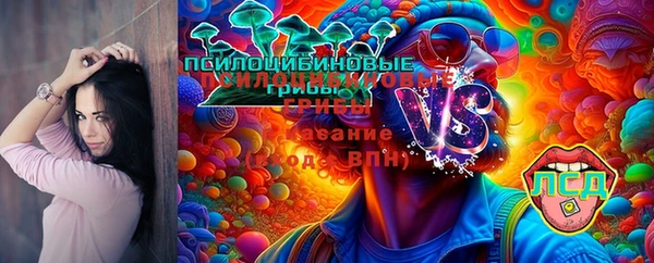 синтетический гашиш Арсеньев
